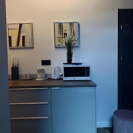 Apartment Przyjemne W Sercu Poznania *